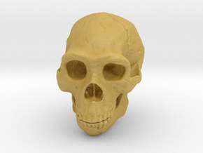 Lanyard : Real Skull (Homo erectus) in Tan Fine Detail Plastic