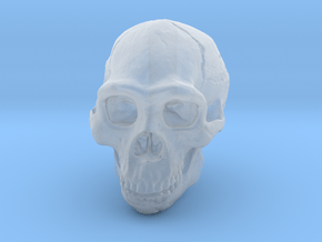 Lanyard : Real Skull (Homo erectus) in Clear Ultra Fine Detail Plastic