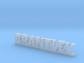 BRANTLEY Lucky in Tan Fine Detail Plastic