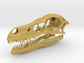 1:2 Velociraptor mongoliensis Skull and Jaw in Tan Fine Detail Plastic