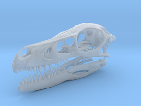 1:2 Velociraptor mongoliensis Skull and Jaw in Clear Ultra Fine Detail Plastic