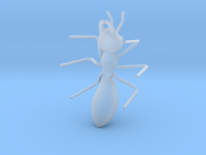 Ant Pendant in Clear Ultra Fine Detail Plastic