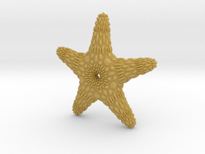 TMStarfish in Tan Fine Detail Plastic