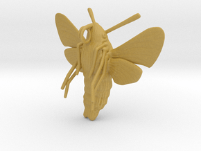 Hummingbird Hawk-Moth Pendant (solid version) in Tan Fine Detail Plastic