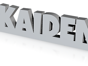 KAIDEN Keychain Lucky in Clear Ultra Fine Detail Plastic