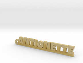 ANTIONETTE Keychain Lucky in Tan Fine Detail Plastic