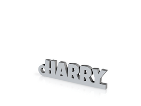 HARRY Keychain Lucky in Clear Ultra Fine Detail Plastic