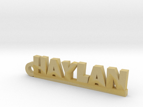 HAYLAN Keychain Lucky in Tan Fine Detail Plastic