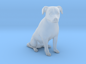 Ultra Tiny dog statue - Vito in Clear Ultra Fine Detail Plastic