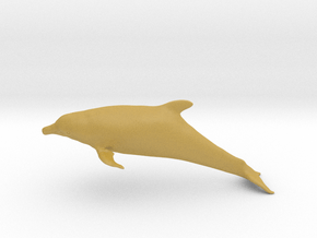 Bottlenose Dolphin (Turiops truncatus) in Tan Fine Detail Plastic