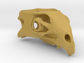 Aquilops americanus 1:1 - Cranium  in Tan Fine Detail Plastic