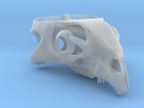 Aquilops americanus 1:1 - Cranium  in Clear Ultra Fine Detail Plastic