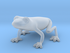 Red Eyed Tree Frog in Clear Ultra Fine Detail Plastic