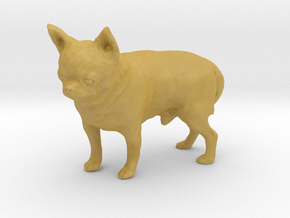 Scanned Chihuahua Dog -889 in Tan Fine Detail Plastic