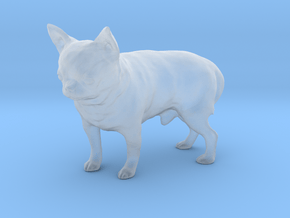 Scanned Chihuahua Dog -889 in Clear Ultra Fine Detail Plastic