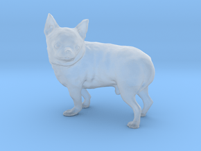 Scanned Chihuahua Dog -892 in Clear Ultra Fine Detail Plastic