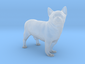 Scanned Chihuahua Dog -890 in Clear Ultra Fine Detail Plastic