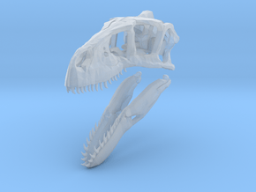 1:35 Utahraptor skull in Clear Ultra Fine Detail Plastic