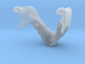 Subject 0.c | Mandible (Before) in Clear Ultra Fine Detail Plastic
