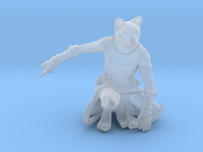 Tabaxi Rogue (Male) in Clear Ultra Fine Detail Plastic