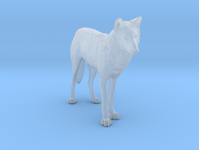 North American Gray Wolf in Clear Ultra Fine Detail Plastic