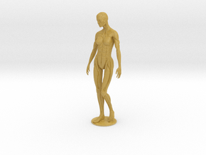 Female form robotic anatomy 20cm in Tan Fine Detail Plastic