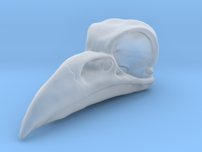 Crow Skull in Clear Ultra Fine Detail Plastic