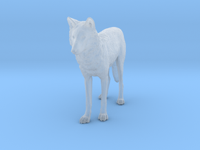 North American Gray Wolf - Small in Clear Ultra Fine Detail Plastic