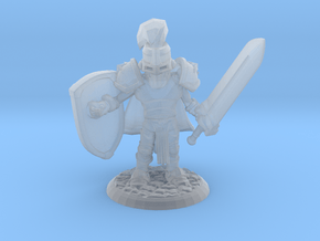 TRISTAN THE PALADIN in Clear Ultra Fine Detail Plastic