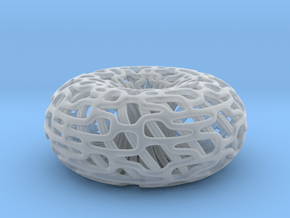 Torus Inside A torus  in Clear Ultra Fine Detail Plastic