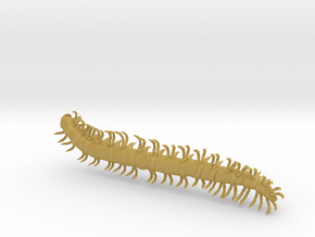 dargon millipede worm in Tan Fine Detail Plastic