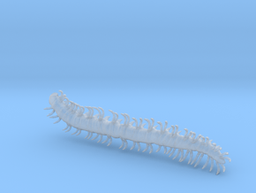 dargon millipede worm in Clear Ultra Fine Detail Plastic