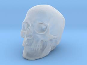 Skull 3DXS in Clear Ultra Fine Detail Plastic