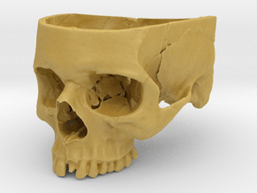 Human Skull Bowl (Life Size) in Tan Fine Detail Plastic