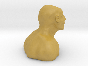 The Smiling Man in Tan Fine Detail Plastic