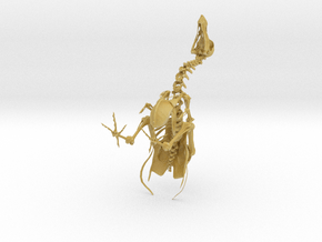 DODO Skeleton in Tan Fine Detail Plastic