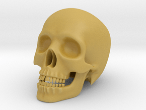 Human Skull (Medium Size-10cm Tall) in Tan Fine Detail Plastic