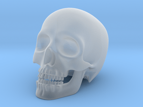 Human Skull (Medium Size-10cm Tall) in Clear Ultra Fine Detail Plastic