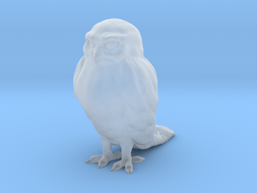 Printle Animal Owl 2 - 1/24 in Clear Ultra Fine Detail Plastic