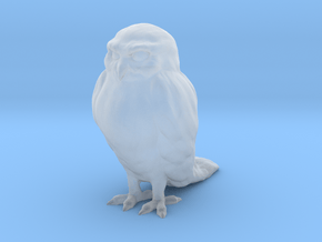 Printle Animal Owl 02 - 1/35 in Clear Ultra Fine Detail Plastic