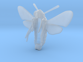 Hummingbird Hawk-Moth Pendant (hollow version) in Clear Ultra Fine Detail Plastic