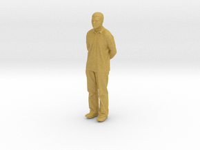 Printle C Homme 2140 - 1/87 - wob in Tan Fine Detail Plastic