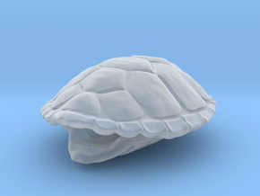 Turtle Shell Pendant in Clear Ultra Fine Detail Plastic