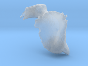 Scapula-Bone in Clear Ultra Fine Detail Plastic