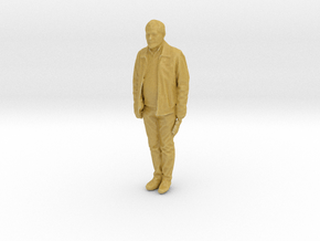 Printle C Homme 2429 - 1/87 - wob in Tan Fine Detail Plastic