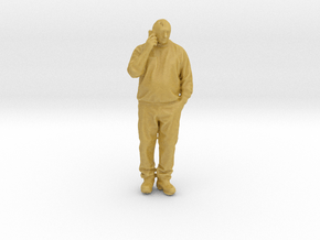 Printle C Homme 2454 - 1/87 - wob in Tan Fine Detail Plastic