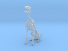 Skeletal Wolf (Sitting) in Clear Ultra Fine Detail Plastic