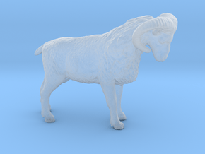 S Scale (1:64) Bighorn Sheep Ram in Clear Ultra Fine Detail Plastic