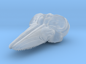 Hector's Dolphin Skull Pendant in Clear Ultra Fine Detail Plastic