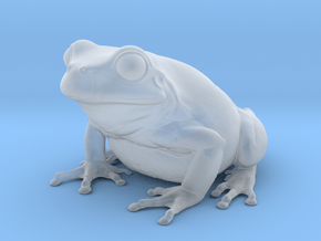 European Tree Frog in Clear Ultra Fine Detail Plastic